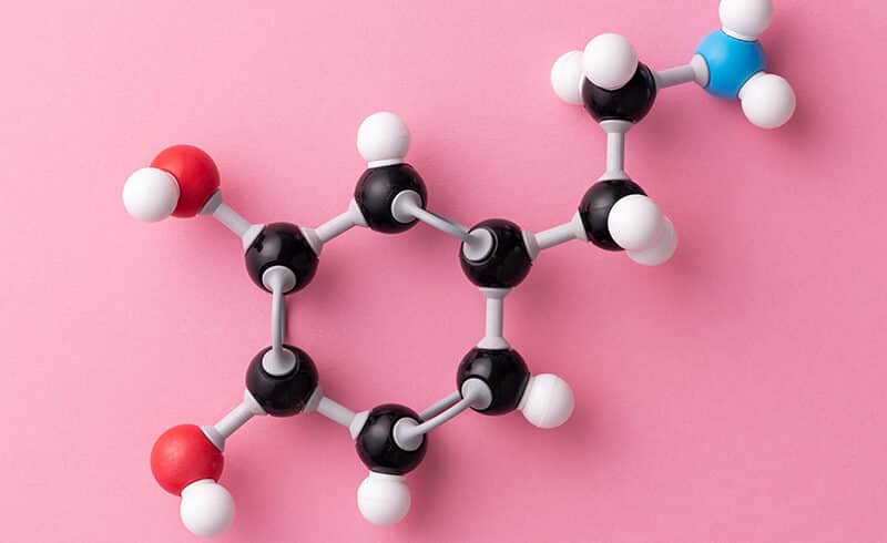 The Connection Between Dopamine and Addiction